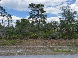 Property photo for 6470 ALICIA DRIVE, Sebring, FL