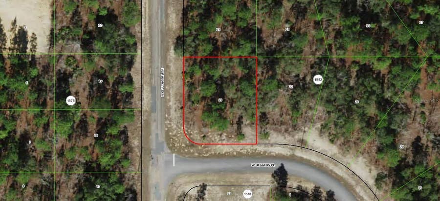 Property photo for 3299 W HIGGINS PLACE, Citrus Springs, FL