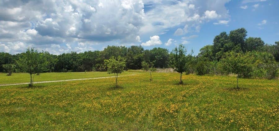 Property photo for 15908 W LAKE DRIVE, Wimauma, FL