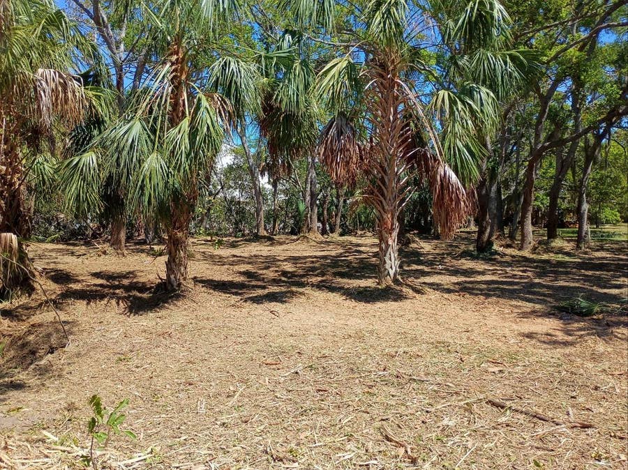 Property photo for 145TH LANE, Largo, FL