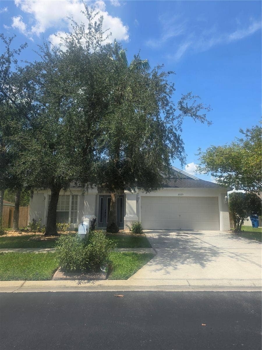 Property photo for 31125 HANNIGAN PLACE, Wesley Chapel, FL