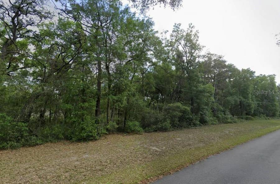 Property photo for 0 SE 59TH PLACE, Ocklawaha, FL