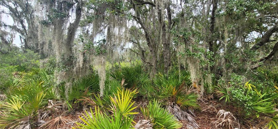 Property photo for 200 RED FOX DRIVE, Sebring, FL