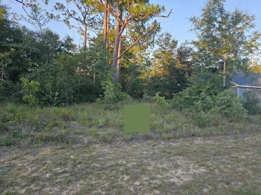Property photo for Lot 12 SHENANDOAH BOULEVARD, Chipley, FL