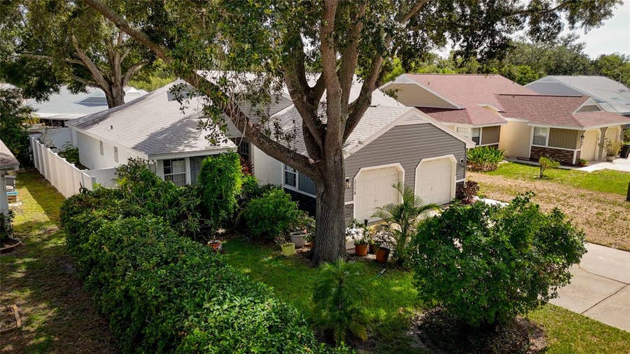 Property photo for 3174 PHLOX DRIVE, Palm Harbor, FL
