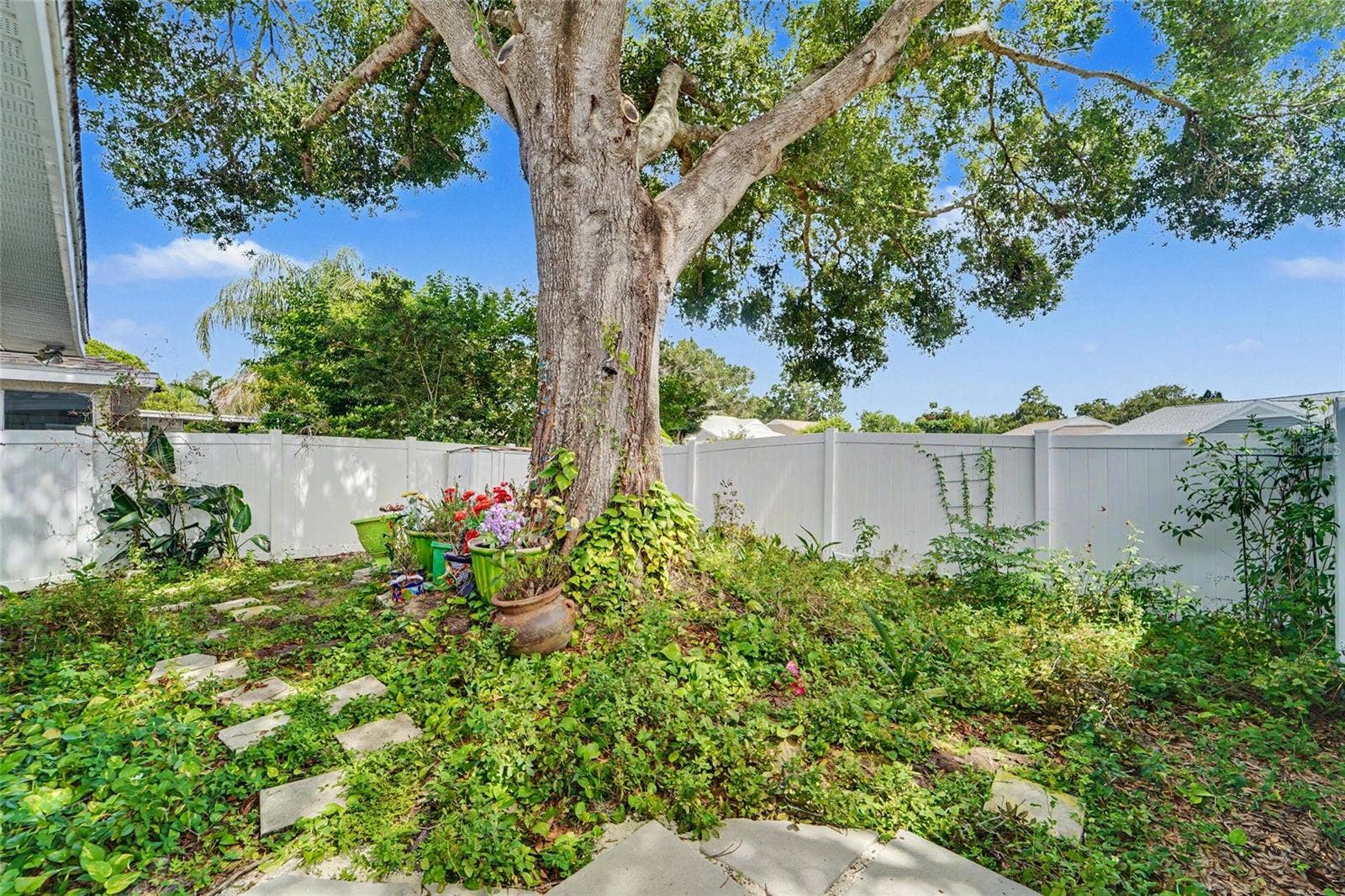 Backyard