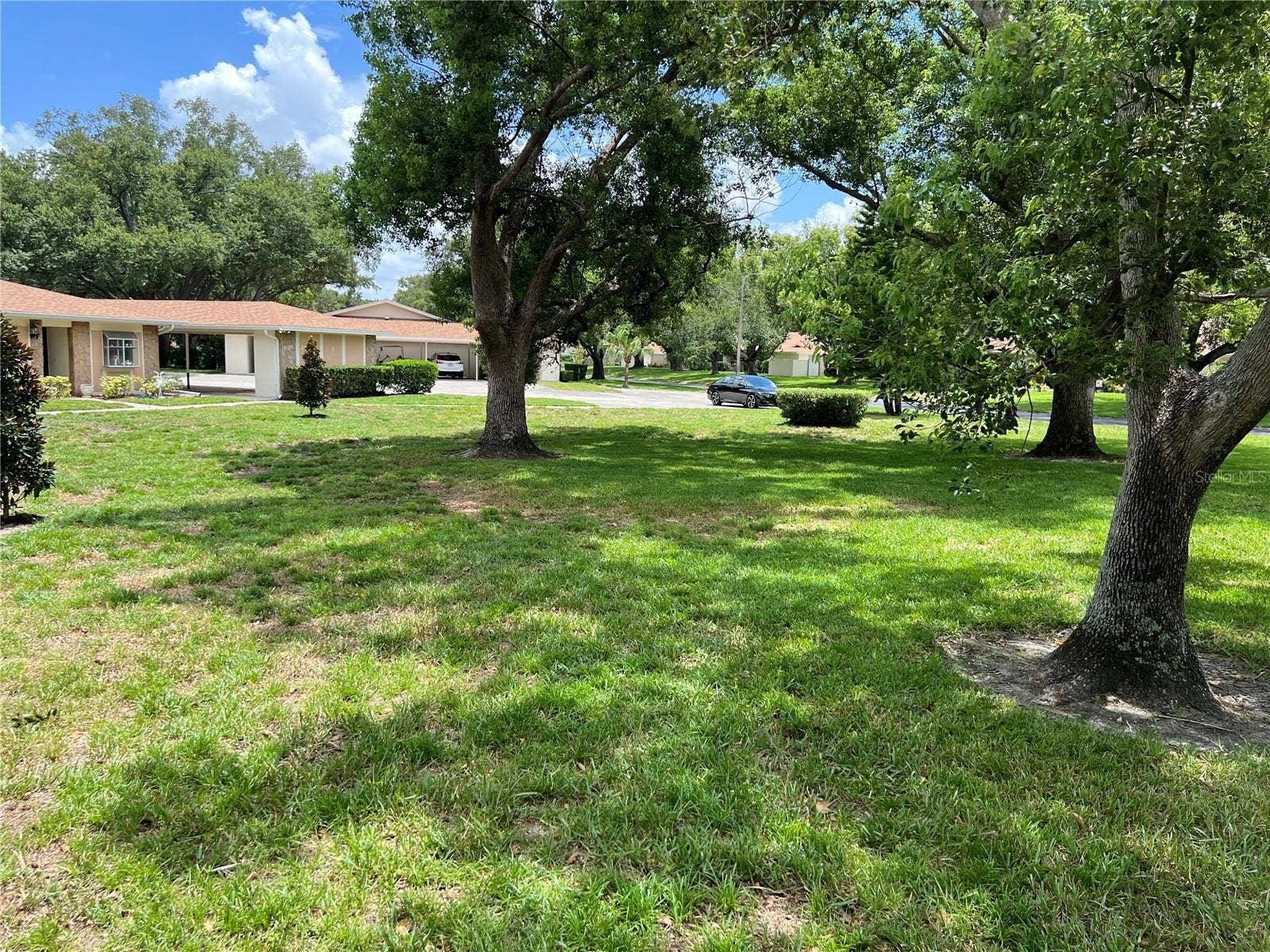 2297 LARK CIRCLE E, #C, Palm Harbor, FL 34684