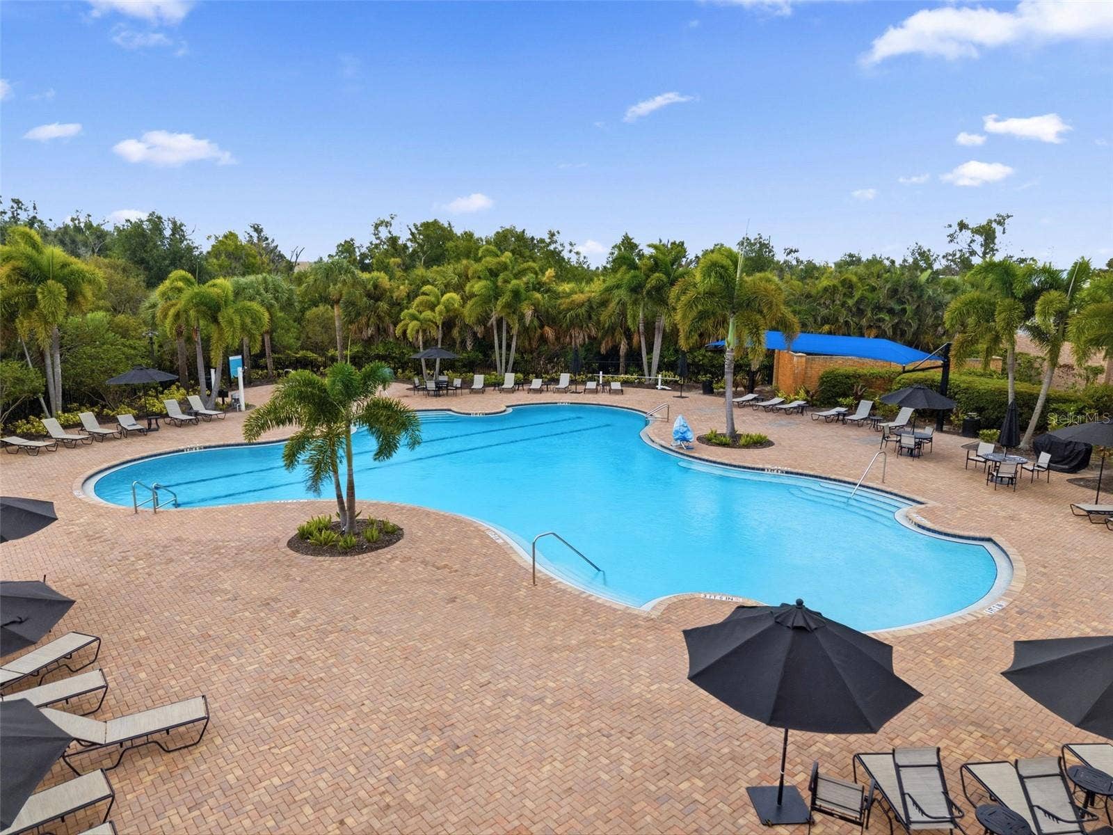6271 SPRINGMONT LOOP, Palmetto, FL 34221 6271 SPRINGMONT LOOP, Palmetto, FL 34221