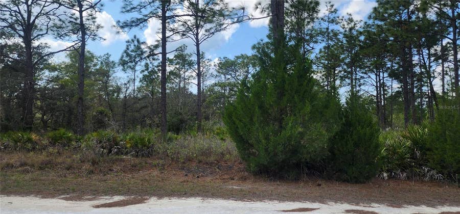 Property photo for 18119 PARROT ROAD, Weeki Wachee, FL