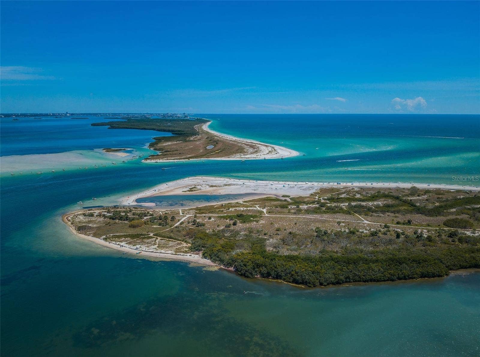 Honeymoon Island and Caladesi Island