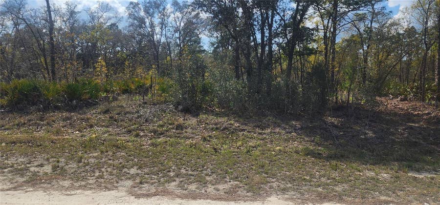 Property photo for 18043 RAMSEY ROAD, Weeki Wachee, FL