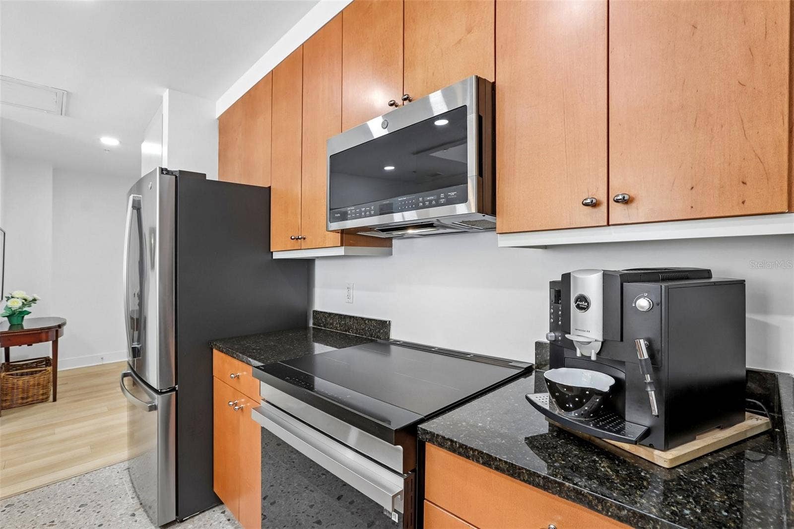 1010 CENTRAL AVENUE, #413, St Petersburg, FL 33705
