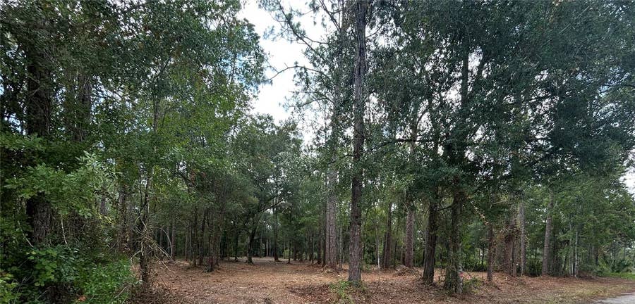 Property photo for WESTPOINT DRIVE, Wesley Chapel, FL