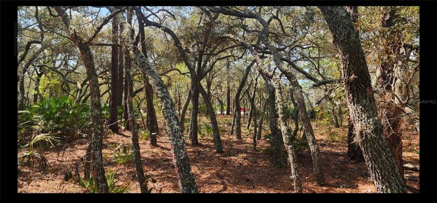 Property photo for 18106 PARAKEET ROAD, Brooksville, FL