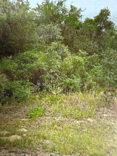 Property photo for WALTON, Dunnellon, FL
