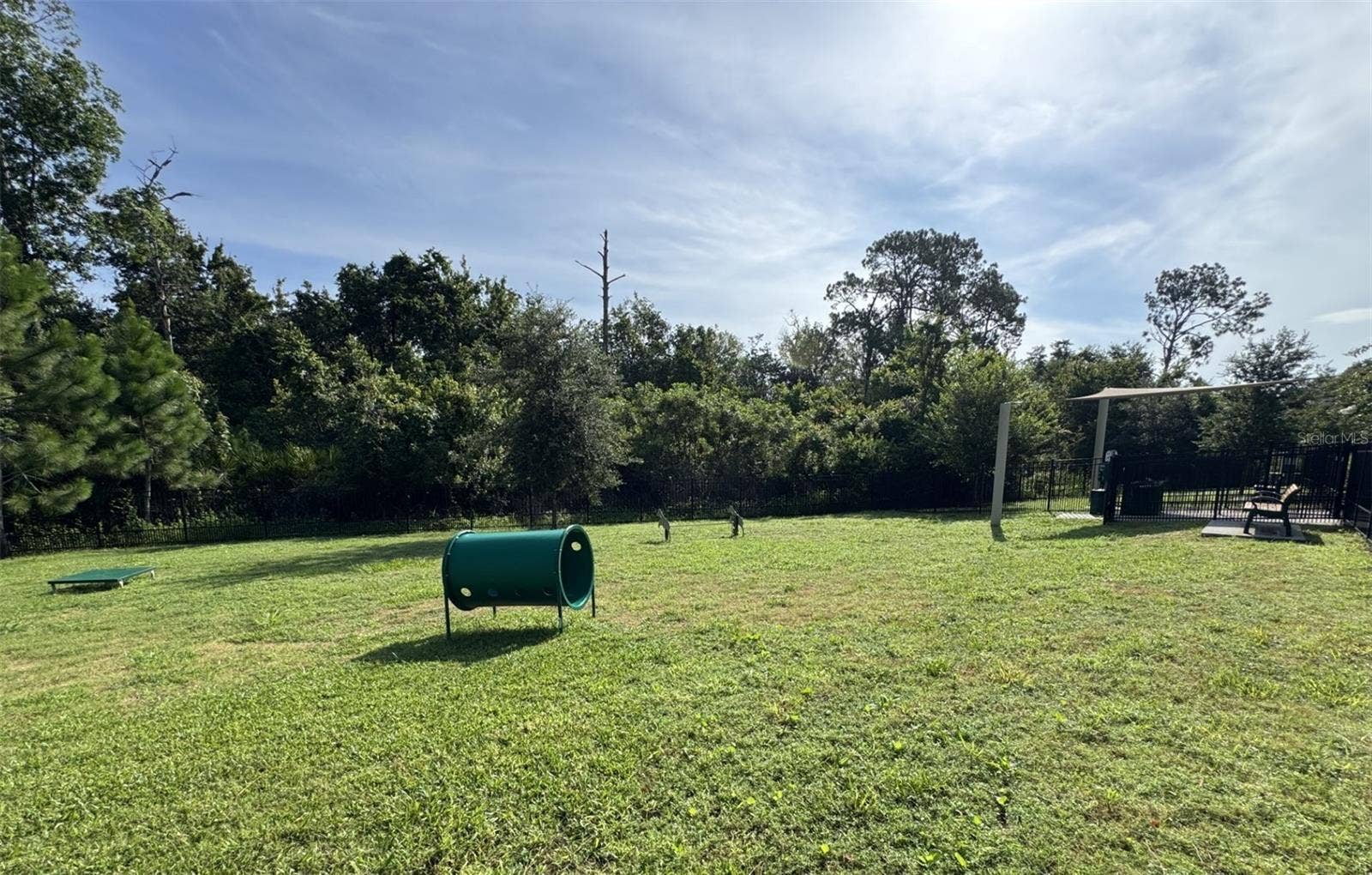17631 LAKE STAR ROAD, Winter Garden, FL 34787 17631 LAKE STAR ROAD, Winter Garden, FL 34787