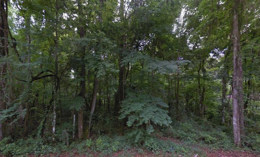 Property photo for SE 42ND COURT, Belleview, FL