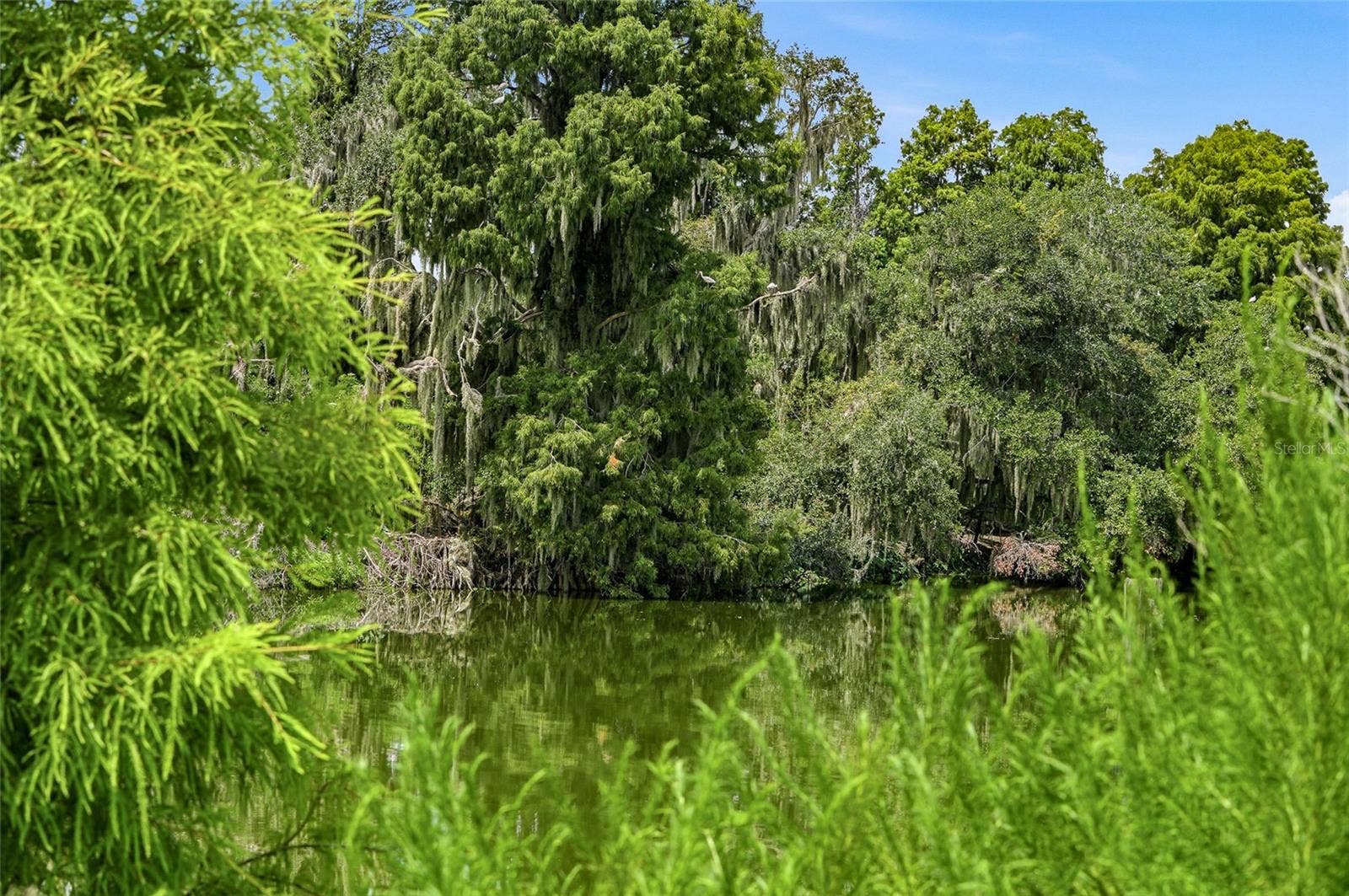 10710 OSPREY LANDING LOT 48 WAY, Thonotosassa, FL 33592 10710 OSPREY LANDING LOT 48 WAY, Thonotosassa, FL 33592