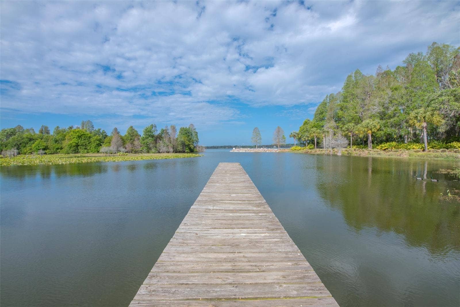 10710 OSPREY LANDING LOT 48 WAY, Thonotosassa, FL 33592 10710 OSPREY LANDING LOT 48 WAY, Thonotosassa, FL 33592