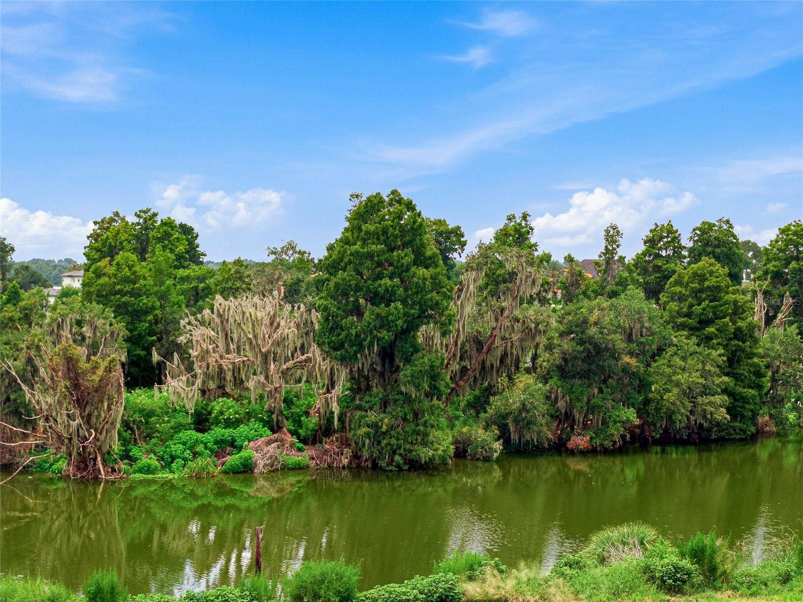 10710 OSPREY LANDING LOT 48 WAY, Thonotosassa, FL 33592 10710 OSPREY LANDING LOT 48 WAY, Thonotosassa, FL 33592