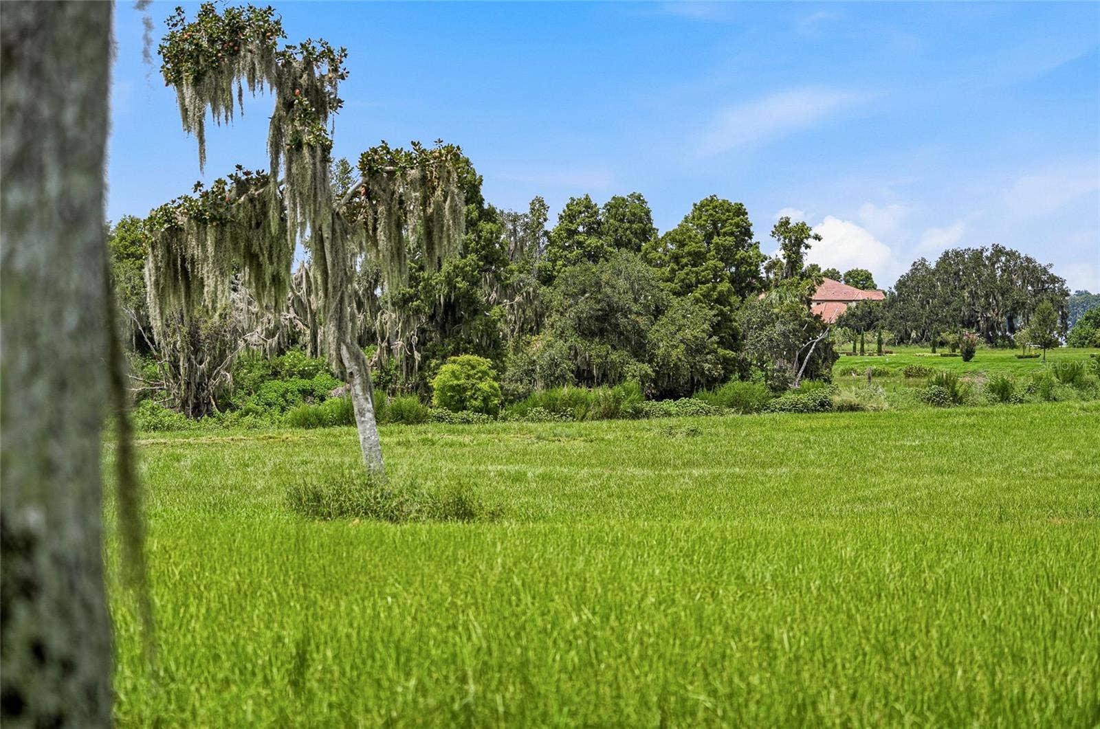 10710 OSPREY LANDING LOT 48 WAY, Thonotosassa, FL 33592 10710 OSPREY LANDING LOT 48 WAY, Thonotosassa, FL 33592