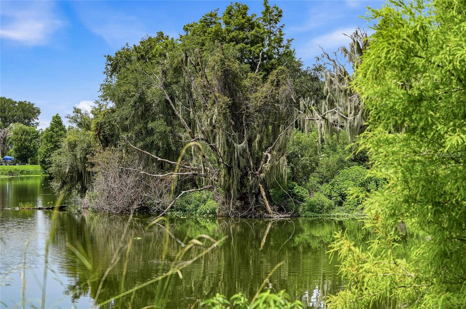 10710 OSPREY LANDING LOT 48 WAY, Thonotosassa, FL 33592 10710 OSPREY LANDING LOT 48 WAY, Thonotosassa, FL 33592