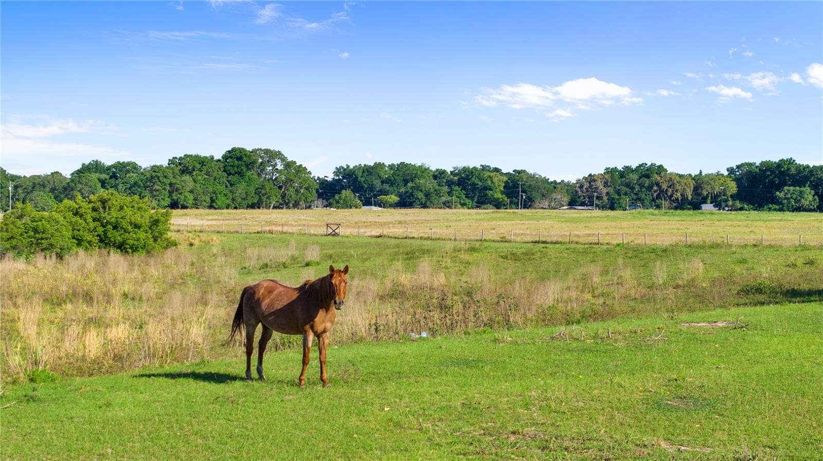 10710 OSPREY LANDING LOT 48 WAY, Thonotosassa, FL 33592 10710 OSPREY LANDING LOT 48 WAY, Thonotosassa, FL 33592