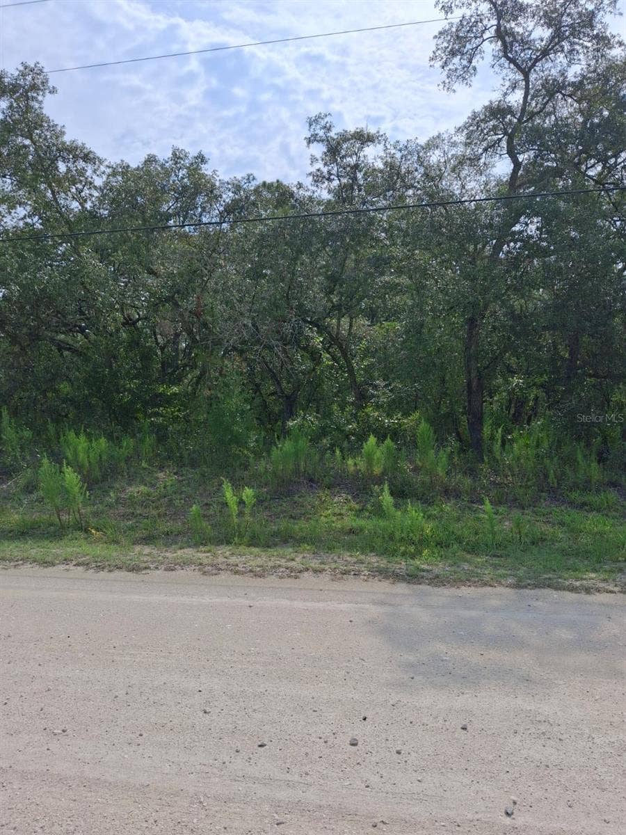 Property photo for 18364 PARAKEET ROAD, Weeki Wachee, FL