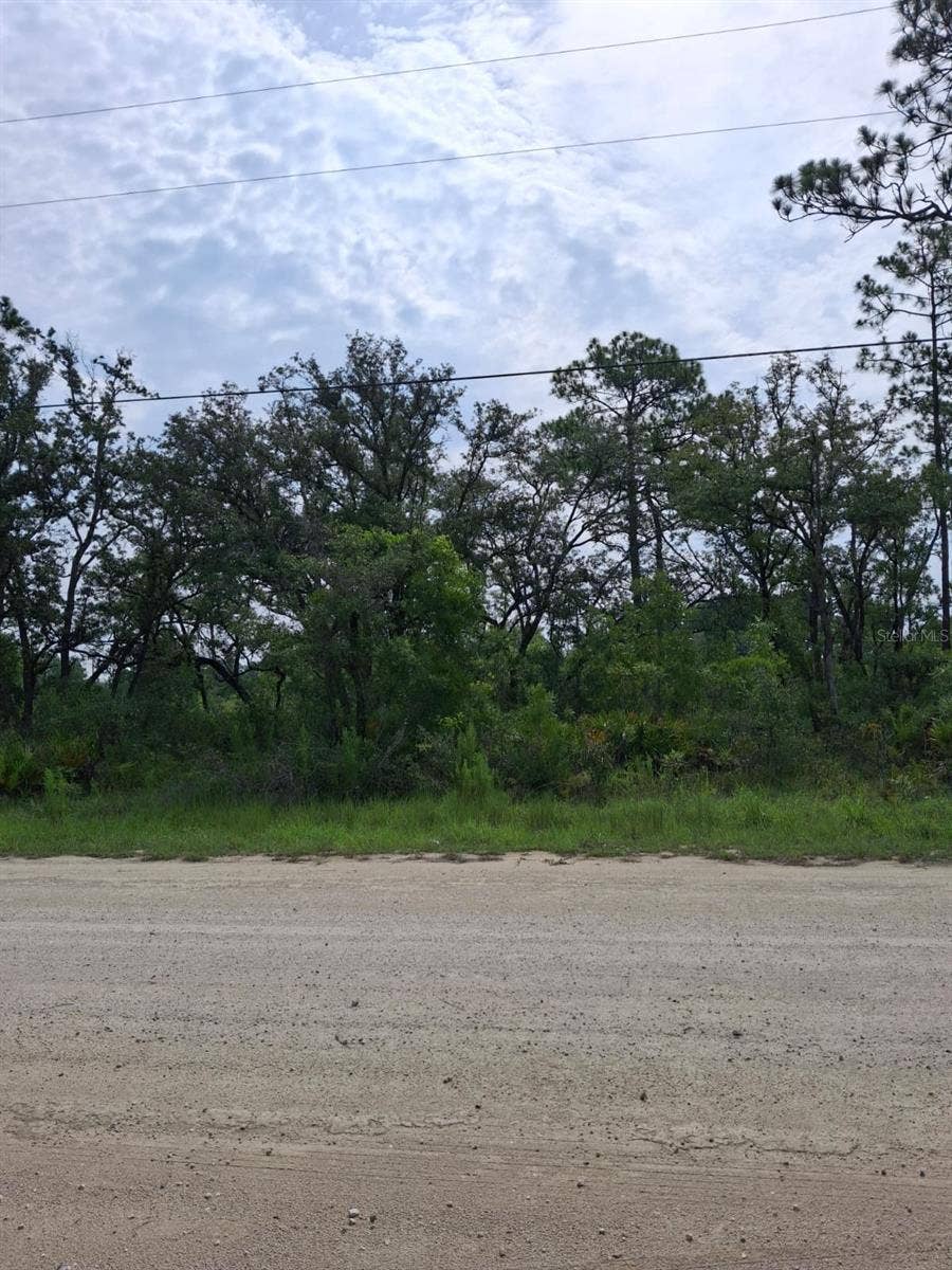 Property photo for 18308 PARAKEET ROAD, Weeki Wachee, FL