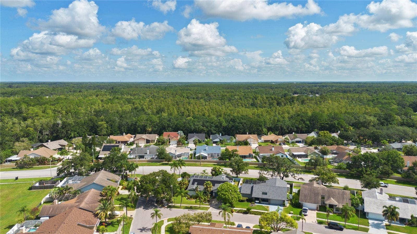 12212 STEPPINGSTONE BOULEVARD, Tampa, FL 33635 12212 STEPPINGSTONE BOULEVARD, Tampa, FL 33635