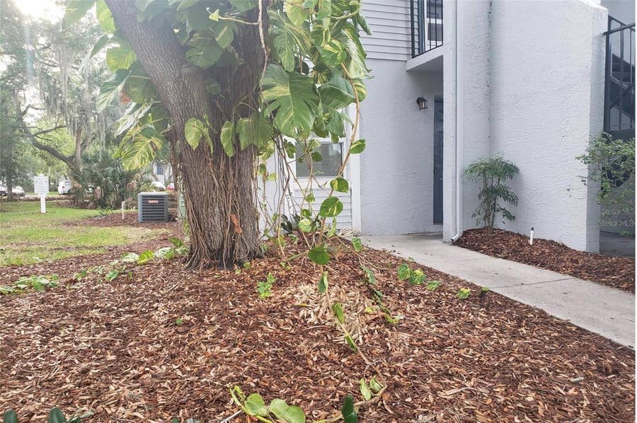 Property photo for 7100 WATERSIDE DRIVE, Tampa, FL