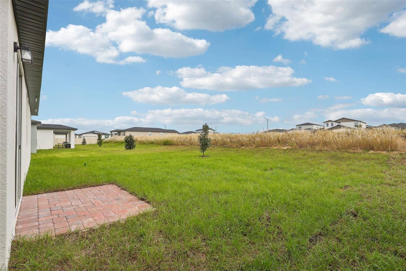 2194 WILDBERRY WAY, Minneola, FL 34715 2194 WILDBERRY WAY, Minneola, FL 34715