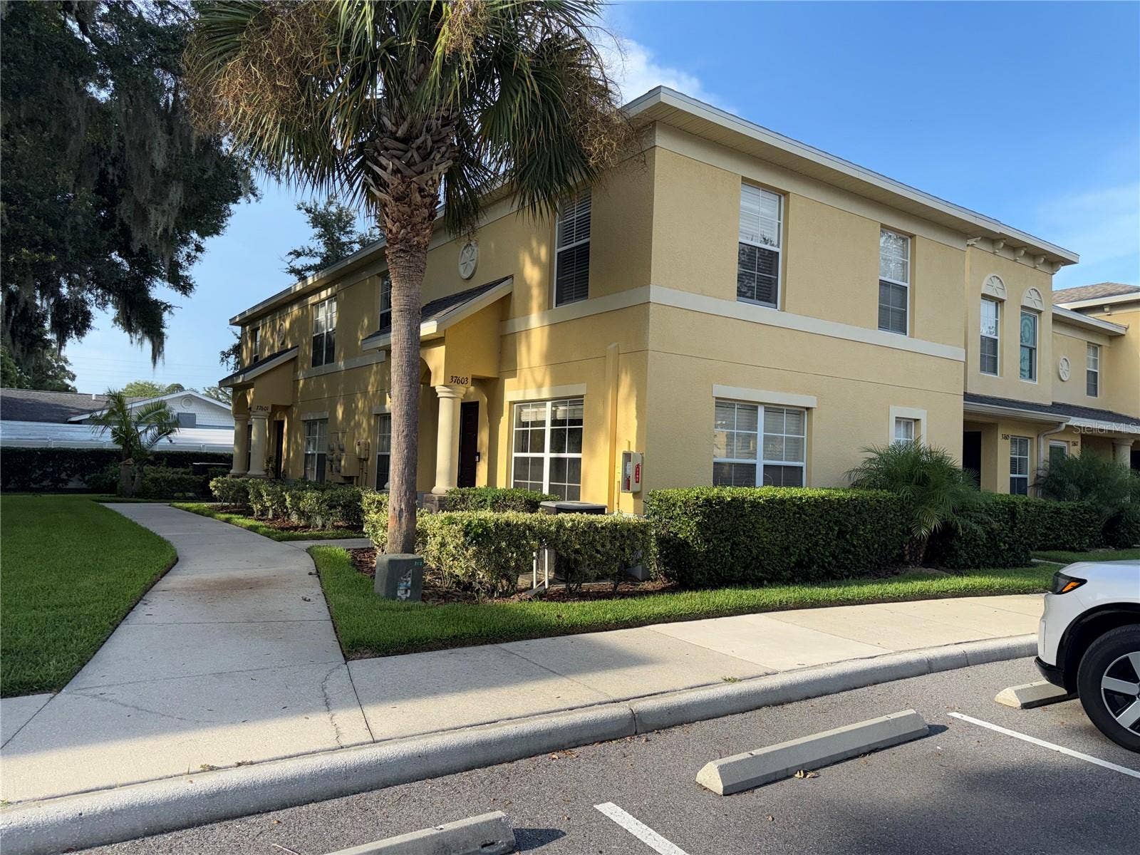 37603 DALIHA TERRACE, Zephyrhills, FL 33542 37603 DALIHA TERRACE, Zephyrhills, FL 33542