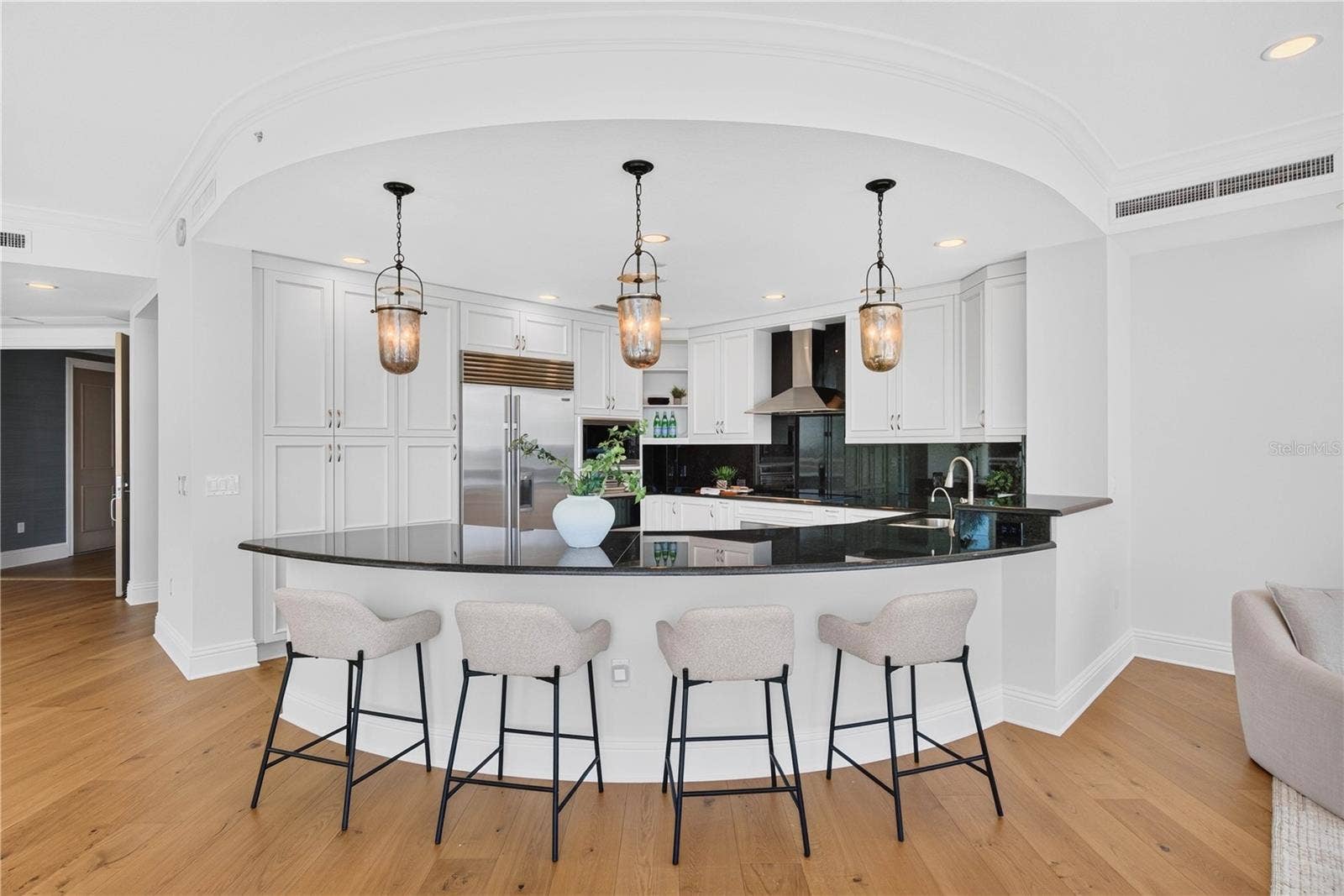 180 BEACH DRIVE NE, #502, St Petersburg, FL 33701 Deluxe Chef's Kitchen