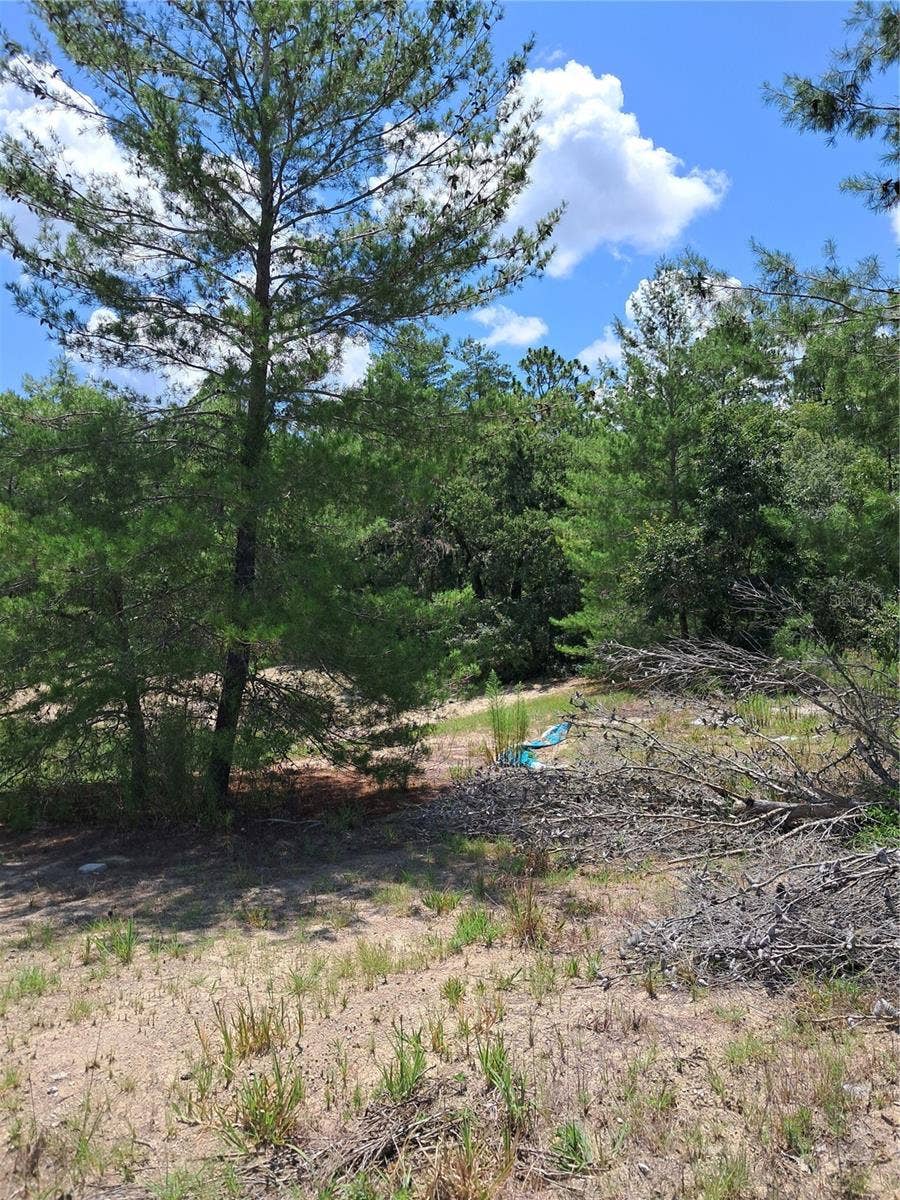 Property photo for 0 SW 65 AVE ROAD, Ocala, FL