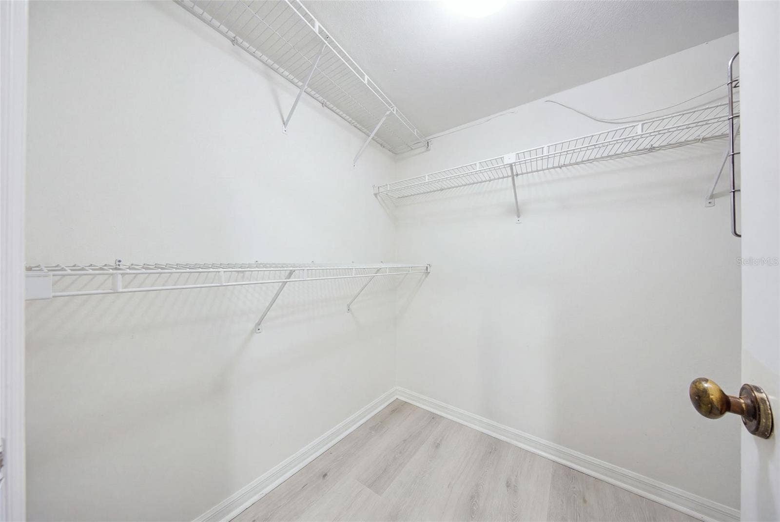 3401 CYPRESS HEAD COURT, Tampa, FL 33618