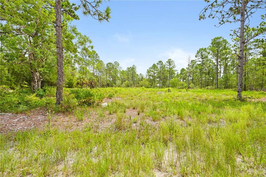 Property photo for 10052 YELLOWBIRD AVENUE, Weeki Wachee, FL