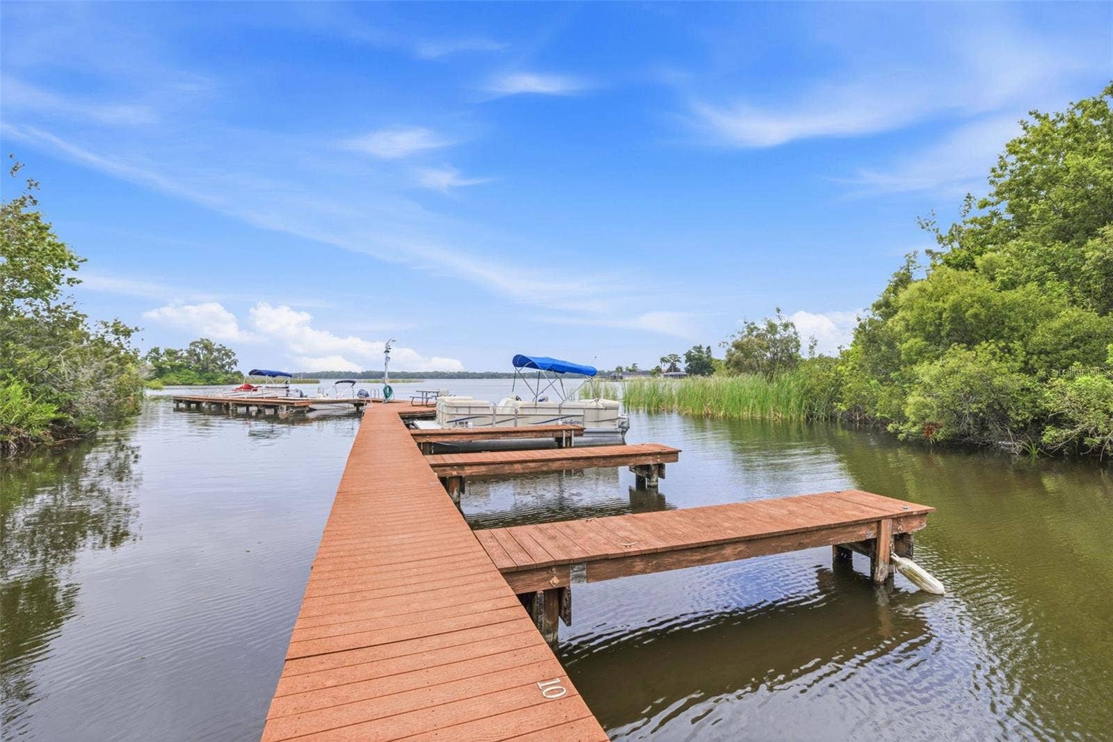 2533 DOLLY BAY DRIVE, #105, Palm Harbor, FL 34684