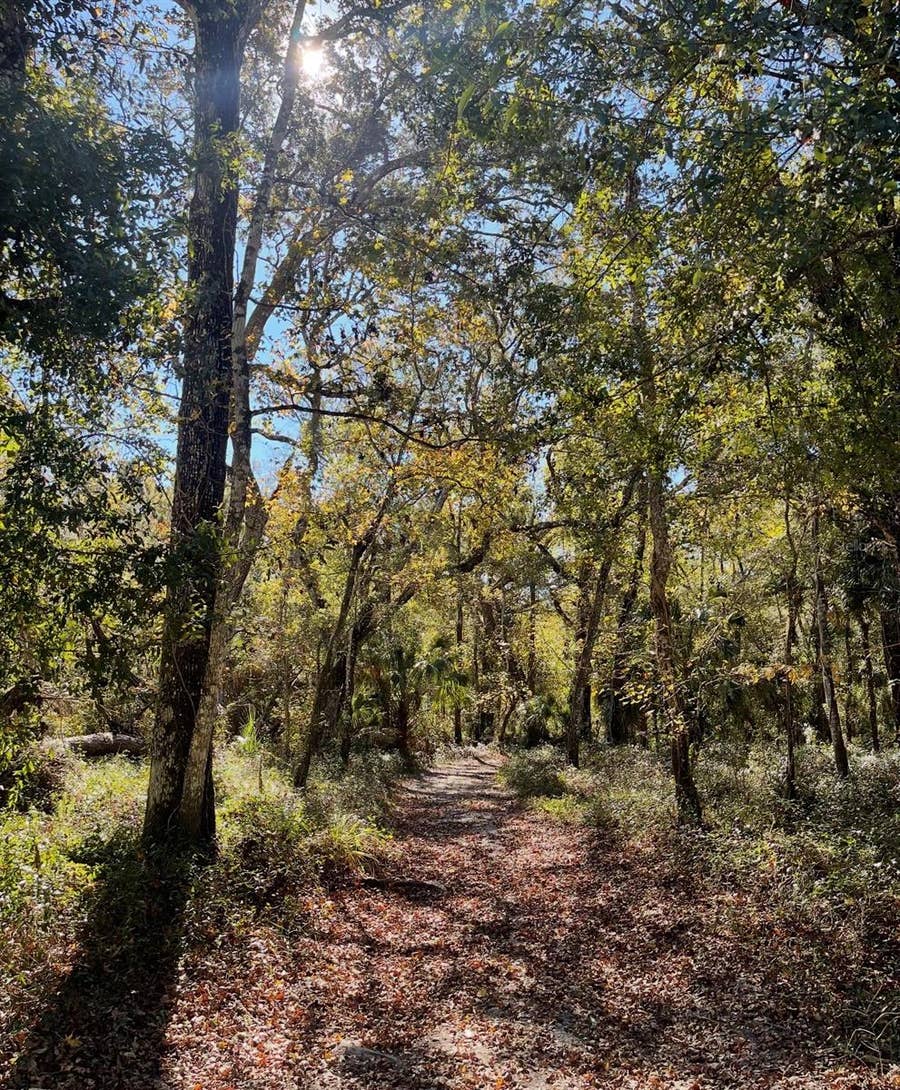 Property photo for TUMBLEWEED TRAIL, Brooksville, FL