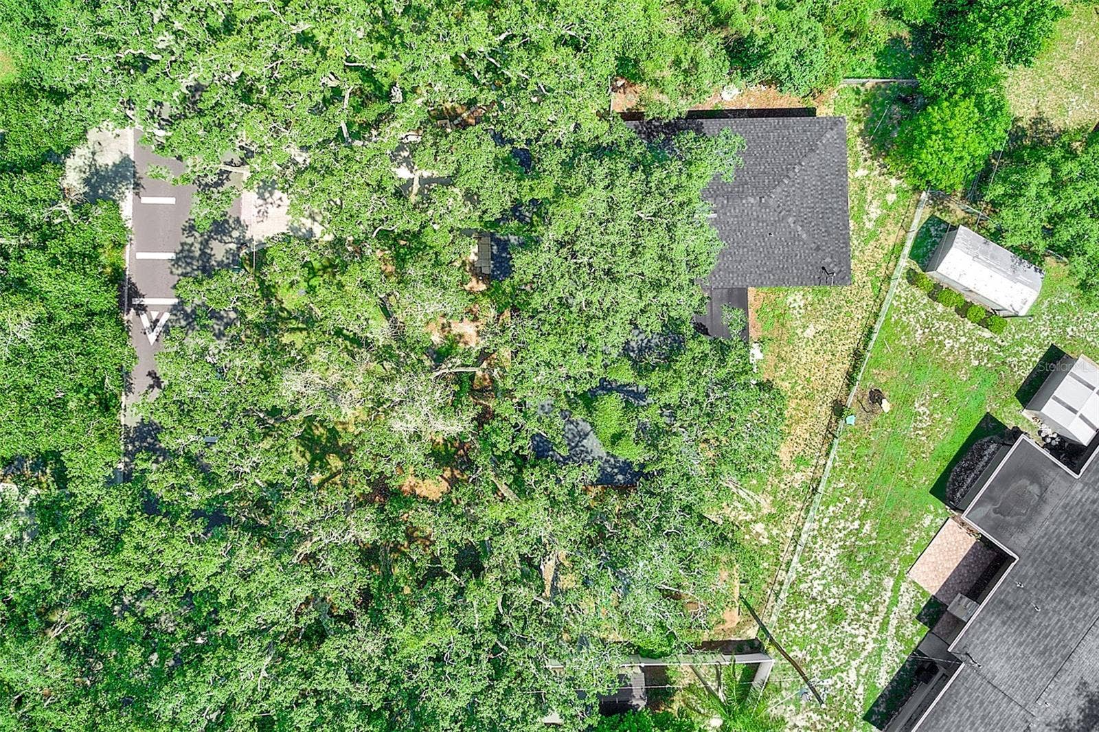 303 SAINT AUGUSTINE AVENUE, Temple Terrace, FL 33617