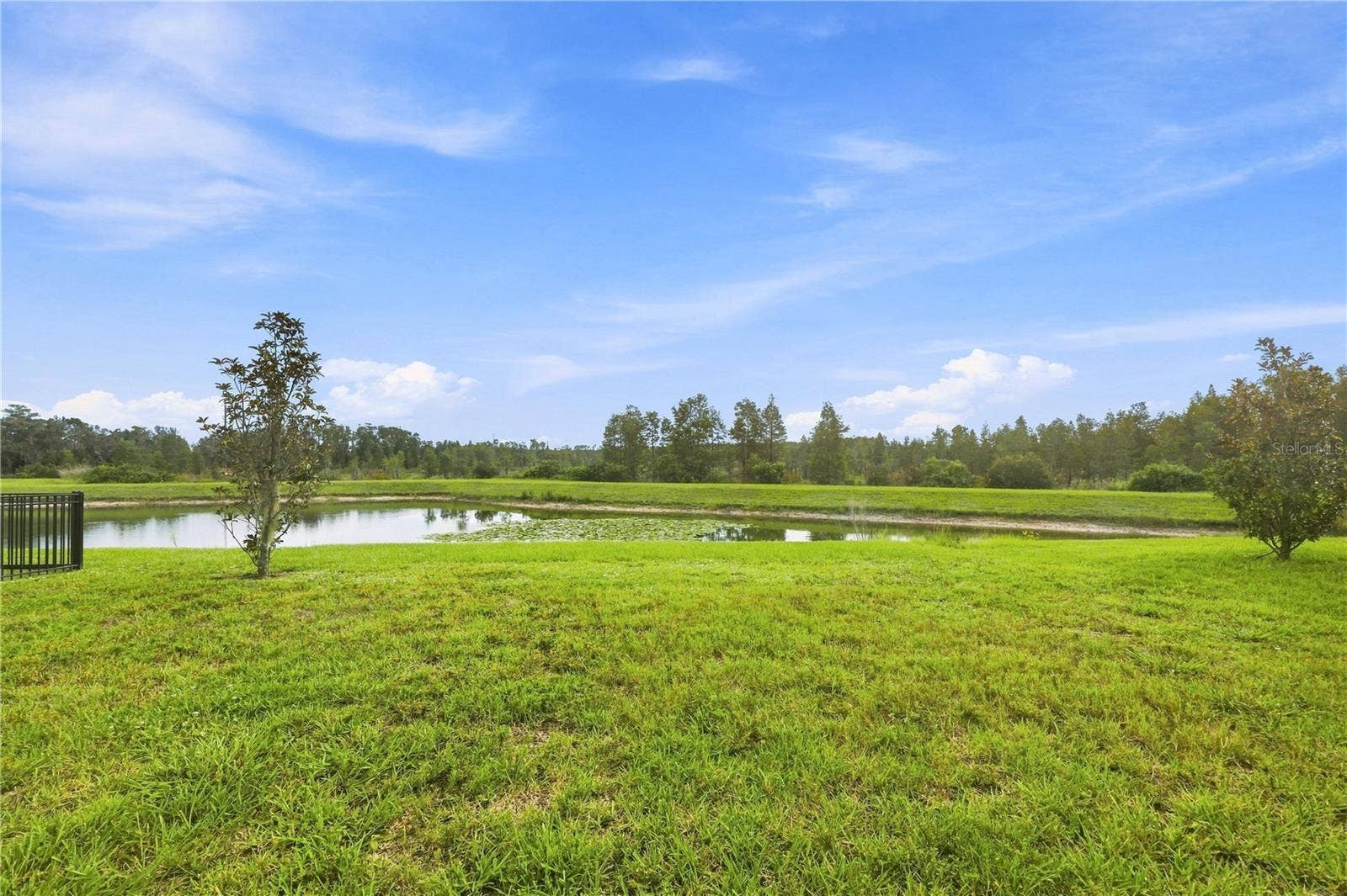 19780 BLUE POND DRIVE, Lutz, FL 33558