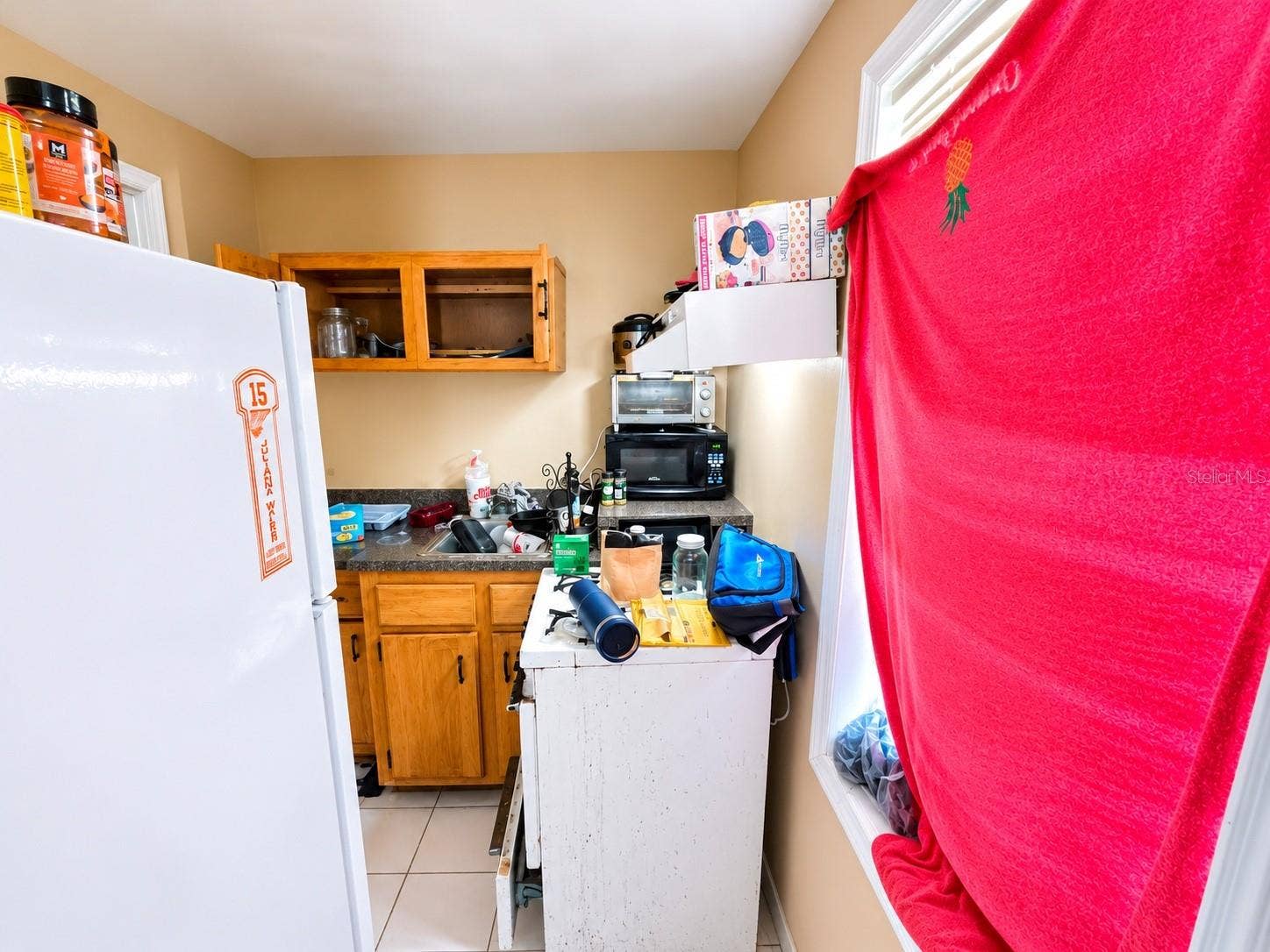 344 N FREDERICK AVENUE, Daytona Beach, FL 32114