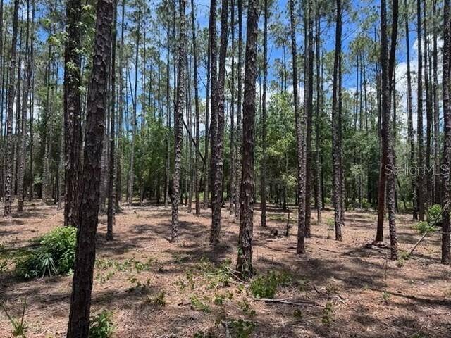 Property photo for 18517 LIVINGSTON AVENUE, Lutz, FL