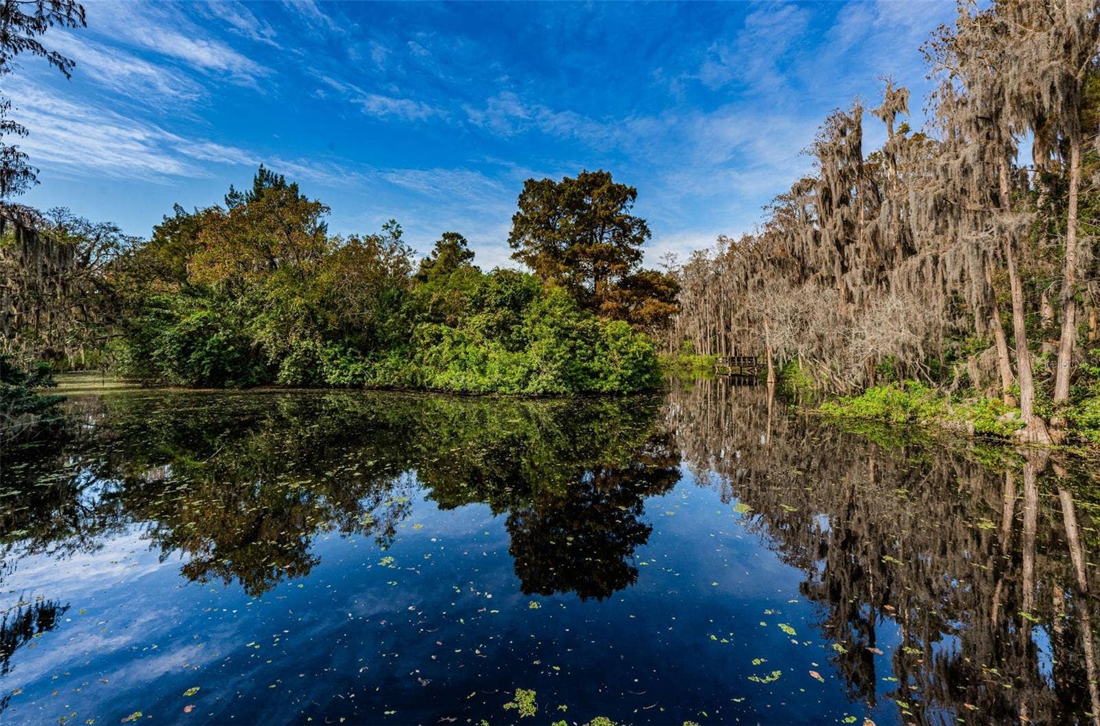 36750 US HIGHWAY 19, #26-102, Palm Harbor, FL 34683