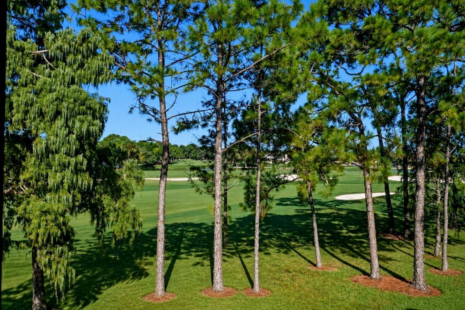 2400 FEATHER SOUND DRIVE, #427, Clearwater, FL 33762 Enjoy Beautiful Sunsets!