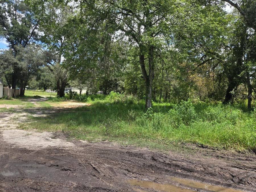 Property photo for 39249 LIZABETH CIRCLE, Zephyrhills, FL