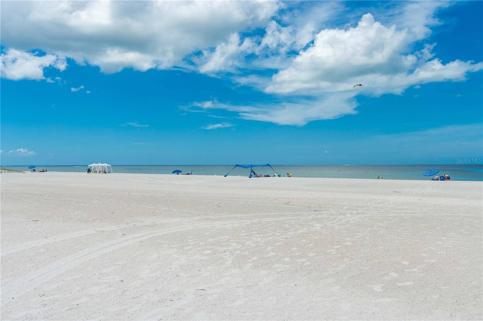 11605 GULF BOULEVARD, #503, St Petersburg, FL 33706 THE PRISTINE BEACH OF TREASURE ISLAND THE WIDEST AND BRIGHTEST