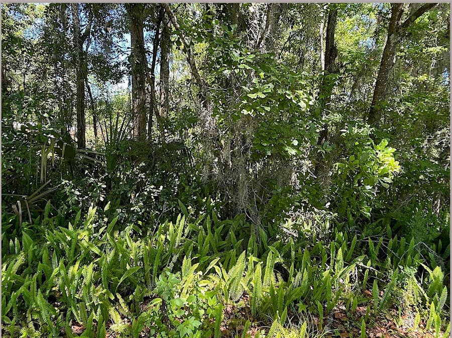 Property photo for UNION STREET, Brooksville, FL