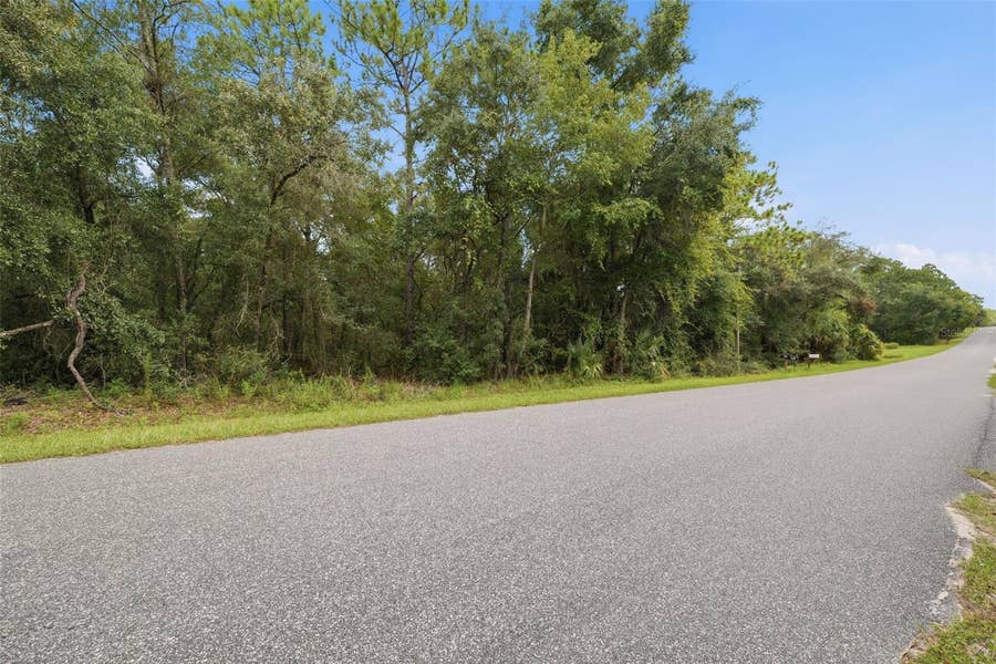 Property photo for 1295 E RAY STREET, Hernando, FL