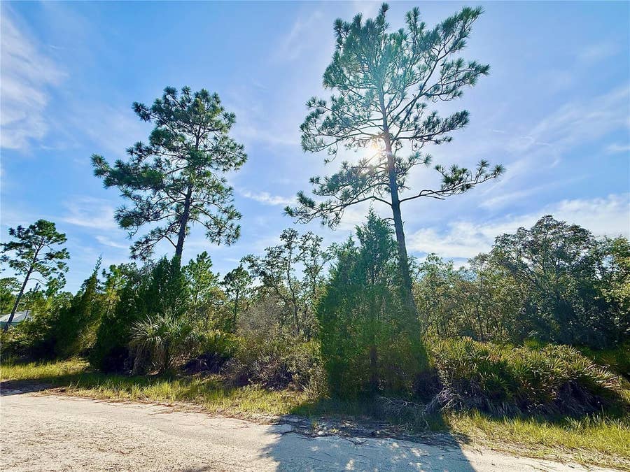 Property photo for RYDAL ROAD, Weeki Wachee, FL